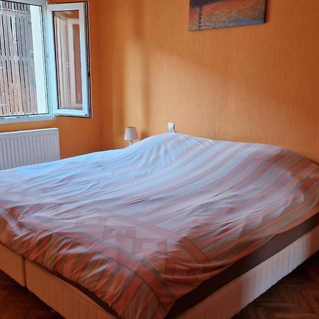 Appartement Le Grillenbreit Colmar Kültér fotó